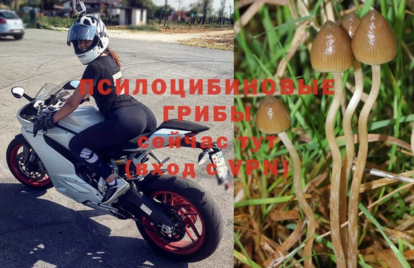 гашиш Белокуриха
