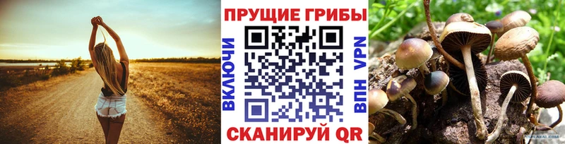 mega ТОР  Вязники  Псилоцибиновые грибы Psilocybe 